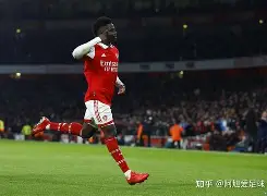 法甲最新形势：休斯顿火箭高居榜首，菲尼克斯太阳强势追赶，冠军归属成迷的简单介绍